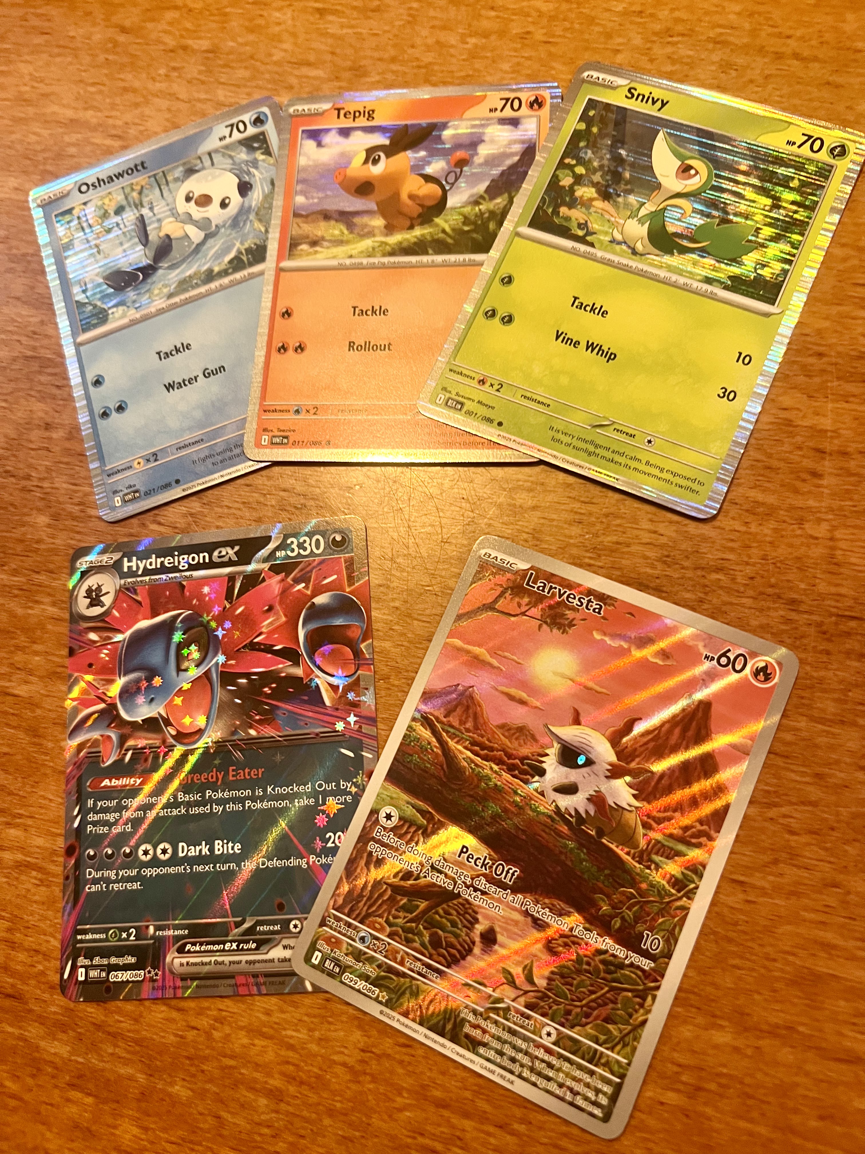 Our Pokémon card pulls