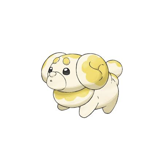 Mountains and Sea Sokcho