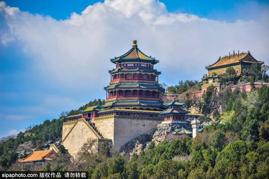 Longevity Hill