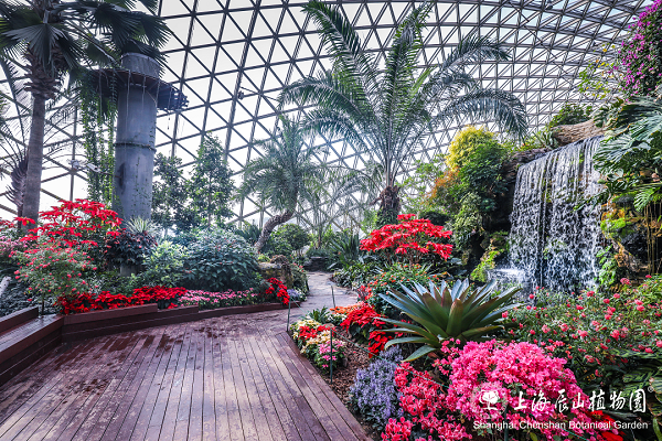 Shanghai Botanical Garden