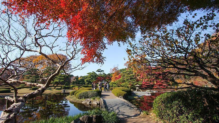 East Gardens