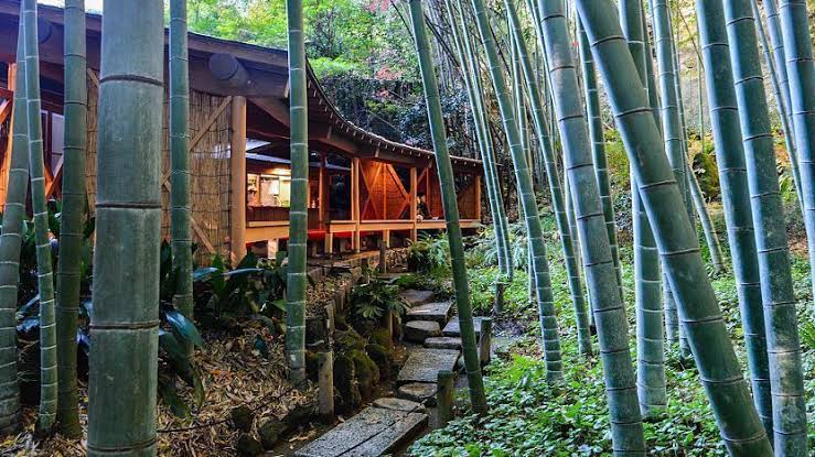 Hokokuji Temple