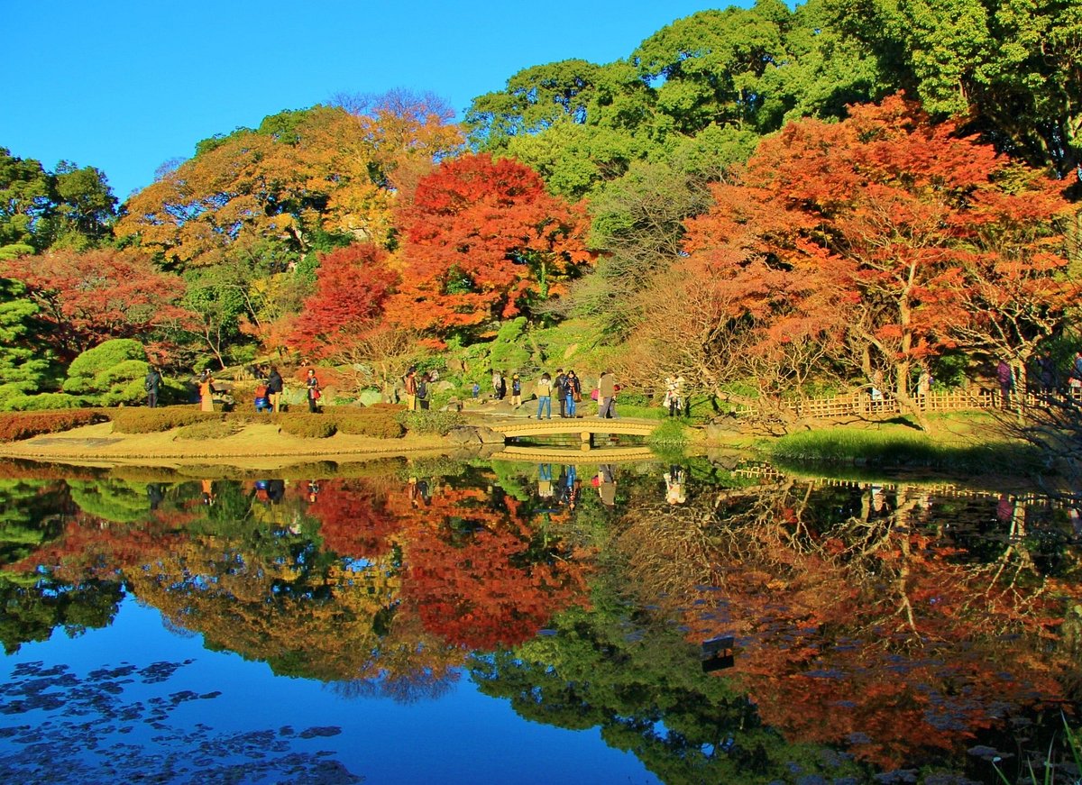 Ninomaru Garden
