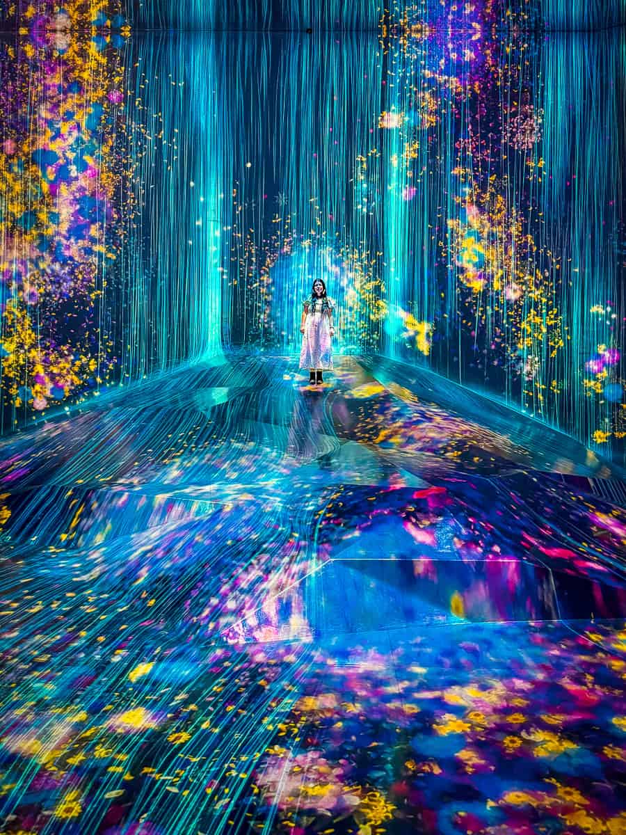 TeamLab Borderless