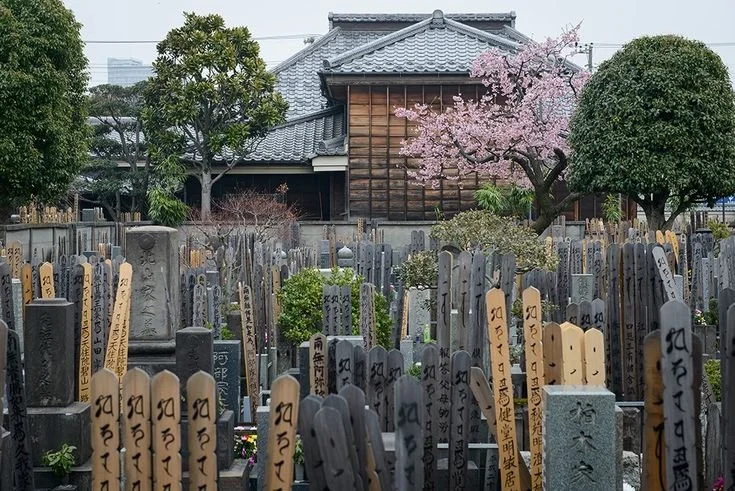 Yanaka Cemetery