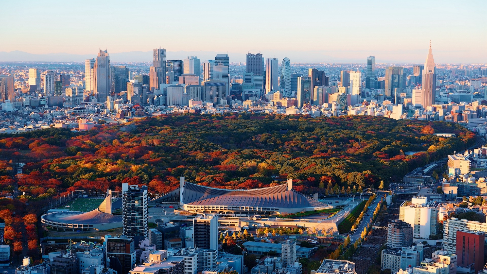 Yoyogi Park