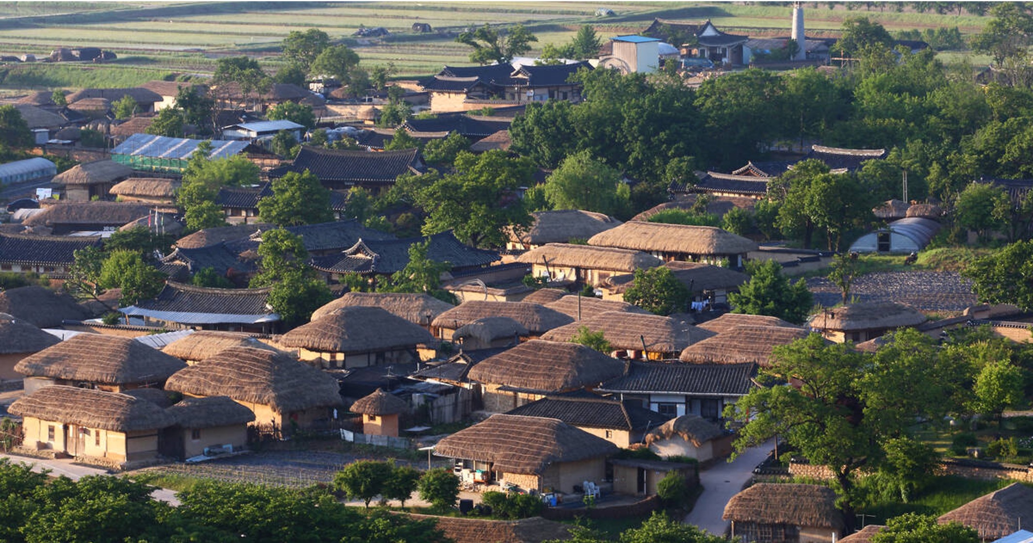 Andong