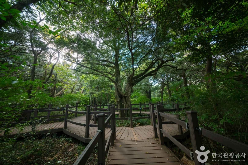 Bijarim Forest