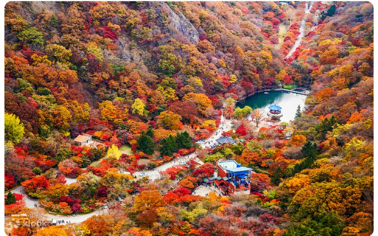 Naejangsan National Park