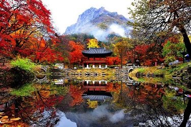 Naejangsan National Park
