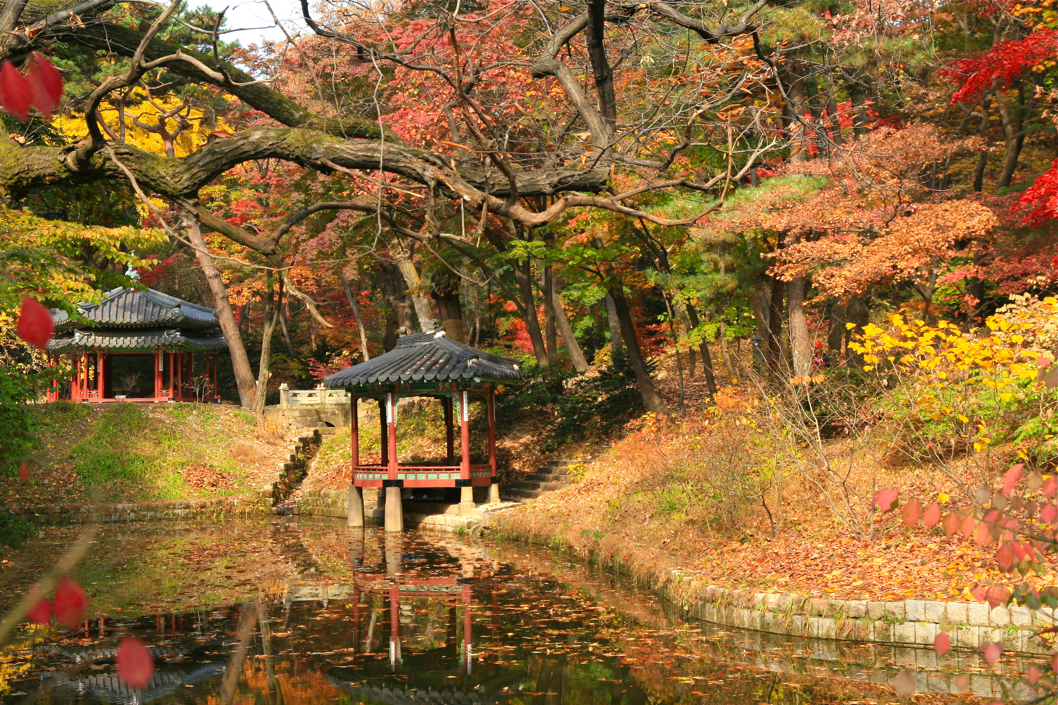Secret Garden