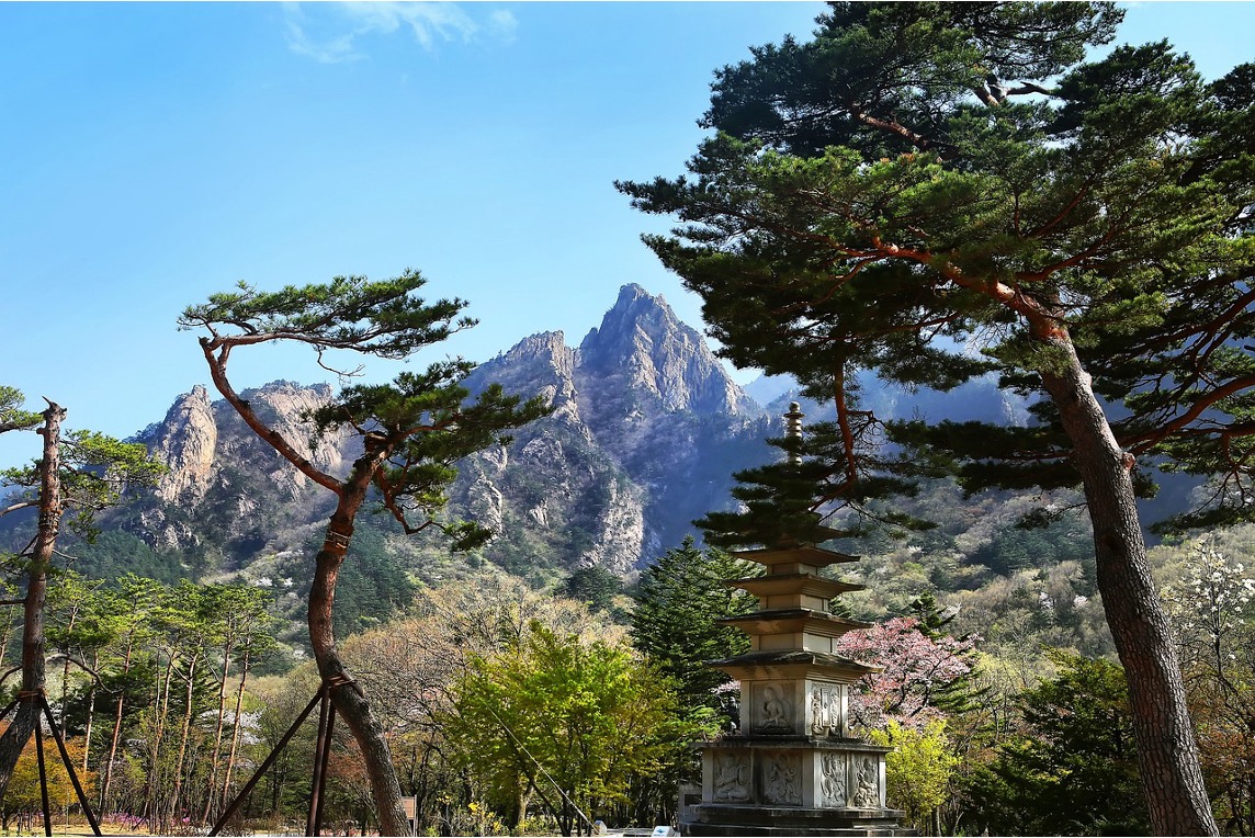 Sokcho